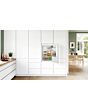 Bosch KIR21NSE0, Built-in fridge