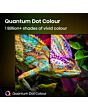 Hisense 65A7QTUK 65 inch QLED 4K Smart TV with Freely 