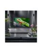 LG 50QNED84A6C 50inch QNED evo AI 4K Smart TV (2025)