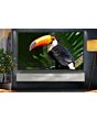 LG 55QNED7EB3C 55 inch QNED MiniLED 4K HDR Smart TV 2026 